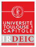 IRDEIC